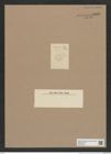 Cyclostella sp. (de-Toni-Nr.: Genus 216) Zeichnungen Sammlung Grunow Nr. 9362 (NHMW-BOT-W0379189)